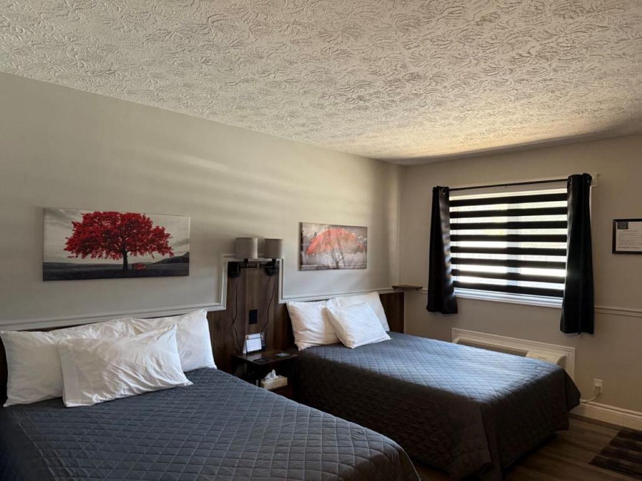 Auberge Micky Inc إيدموندستون المظهر الخارجي الصورة