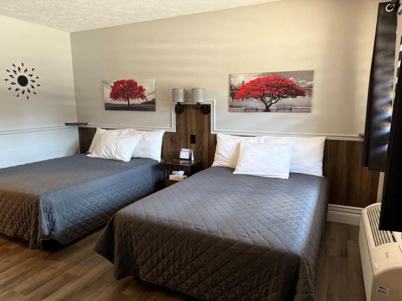 Auberge Micky Inc إيدموندستون المظهر الخارجي الصورة